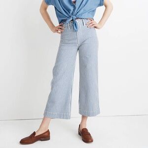 Madewell Emmett Wide Leg Crop Pants in Herringbone Railroad Stripe